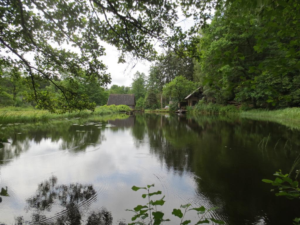Mizarai Mill House Villa Druskininkai Eksteriør bilde